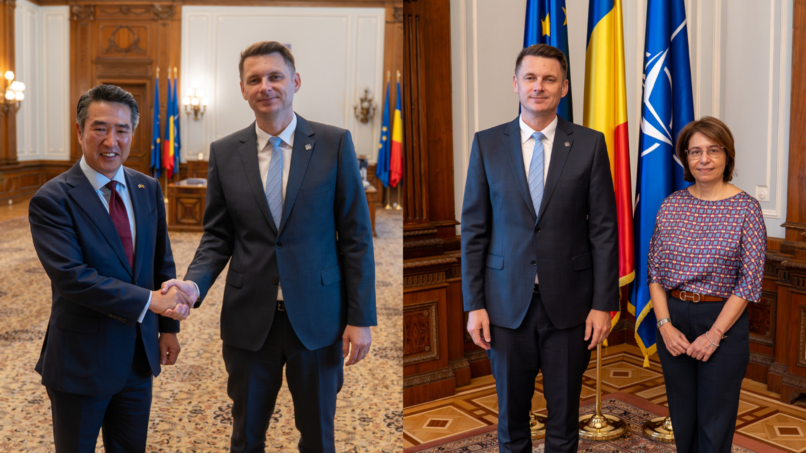 Președintele Senatului a avut întâlniri cu ambasadorii Republicii Coreea și Republicii Elene